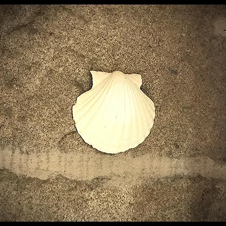 En Casco Historico De Vigo