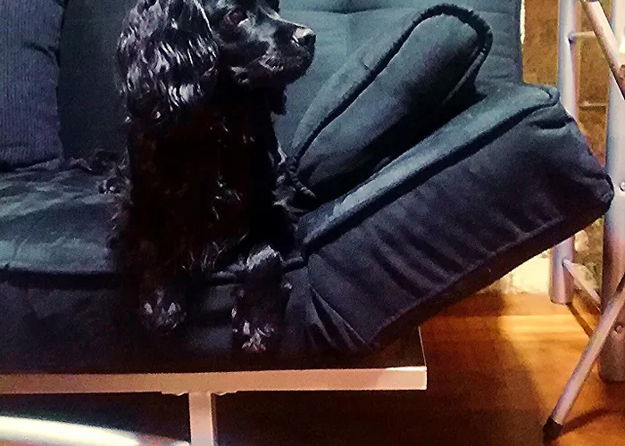 Apartman En Casco Historico De *